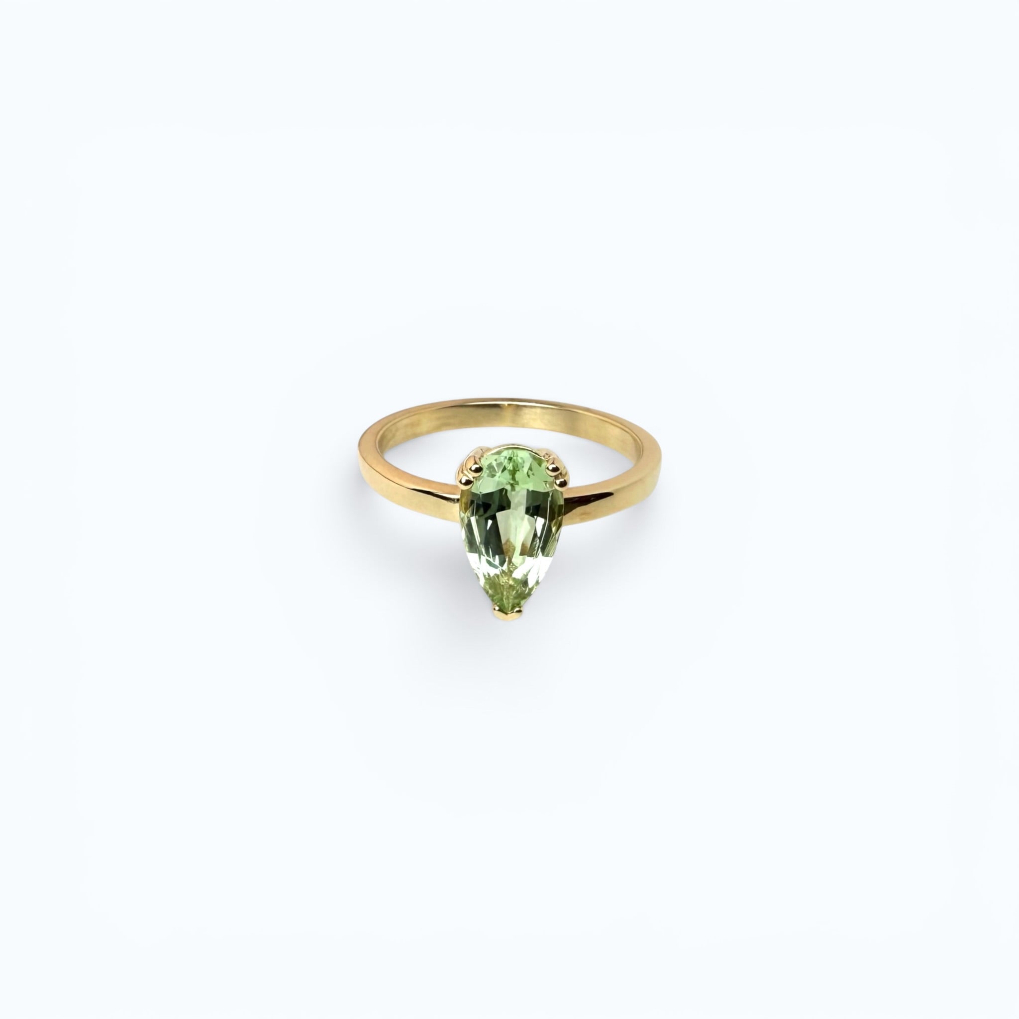 AnnTen Collection